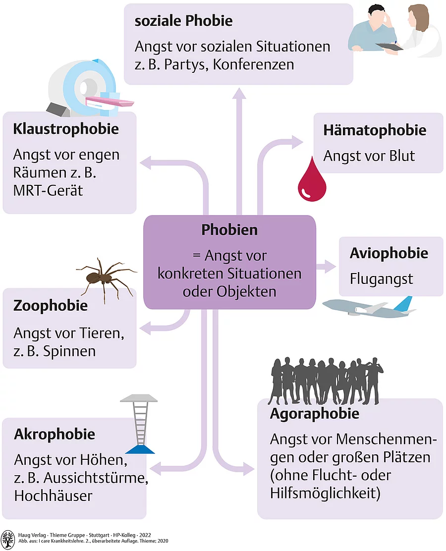 Schaubild mit den häufigsten Phobien wie Agoraphobie, Akrophobie, Zoophobie, Hämatophobie, Aviophobie, Klaustrophobie und soziale Phobie.