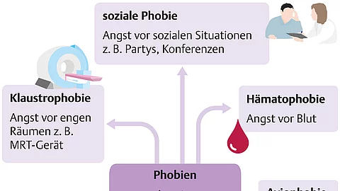 Schaubild mit den häufigsten Phobien wie Agoraphobie, Akrophobie, Zoophobie, Hämatophobie, Aviophobie, Klaustrophobie und soziale Phobie.