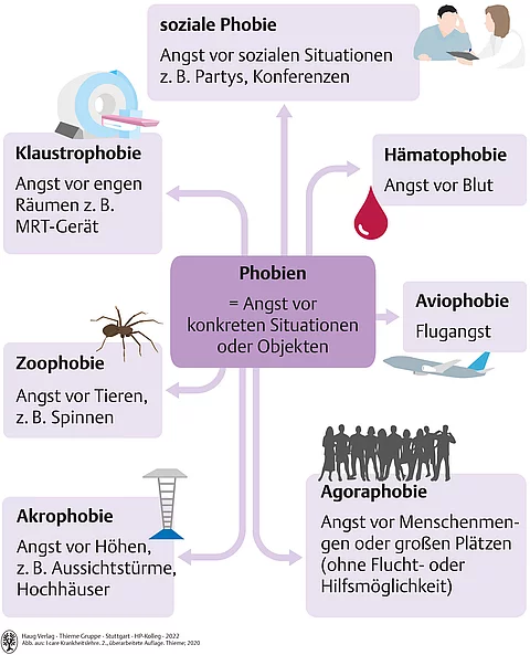 Schaubild mit den häufigsten Phobien wie Agoraphobie, Akrophobie, Zoophobie, Hämatophobie, Aviophobie, Klaustrophobie und soziale Phobie.