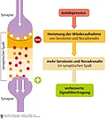 Schaubild zum Wirkmechanismus von Antidepressiva mit Synapsen und synaptischem Spalt.