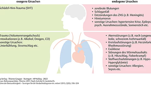 Übersicht zu endogenen und exogenen Ursachen von Bewusstseinsstörungen. Abgebildet ist ein gezeichnet Kopf und Rumpf mit Organen.