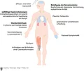 Systemischer Lupus erythematodes (SLE). Darstellung eines Körpers mit Symptombereichen.