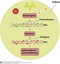 Vereifachte Darstellung einer Tumorentstehung: Kanzerogenese, Mutation, unkontrollierte Tumorzellteilung.
